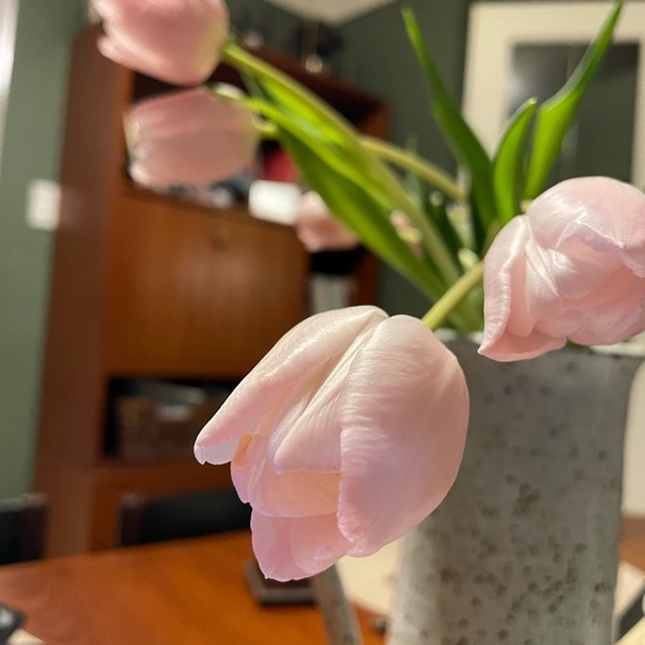 Meet your Posher, Ada - Picture 1 of 1